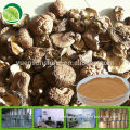 Natural Agaricus Blazei Murill P.E.Agaricus Blazei Extract Agaricus Blazei Murill Mushroom